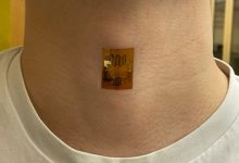 Фото - Учёные создали биоплёнку из бактерий, которая может долго питать носимую электронику от пота человека