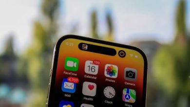 Фото - Бразильский суд оштрафовал Apple, вновь приказав продавать iPhone с зарядными устройствами